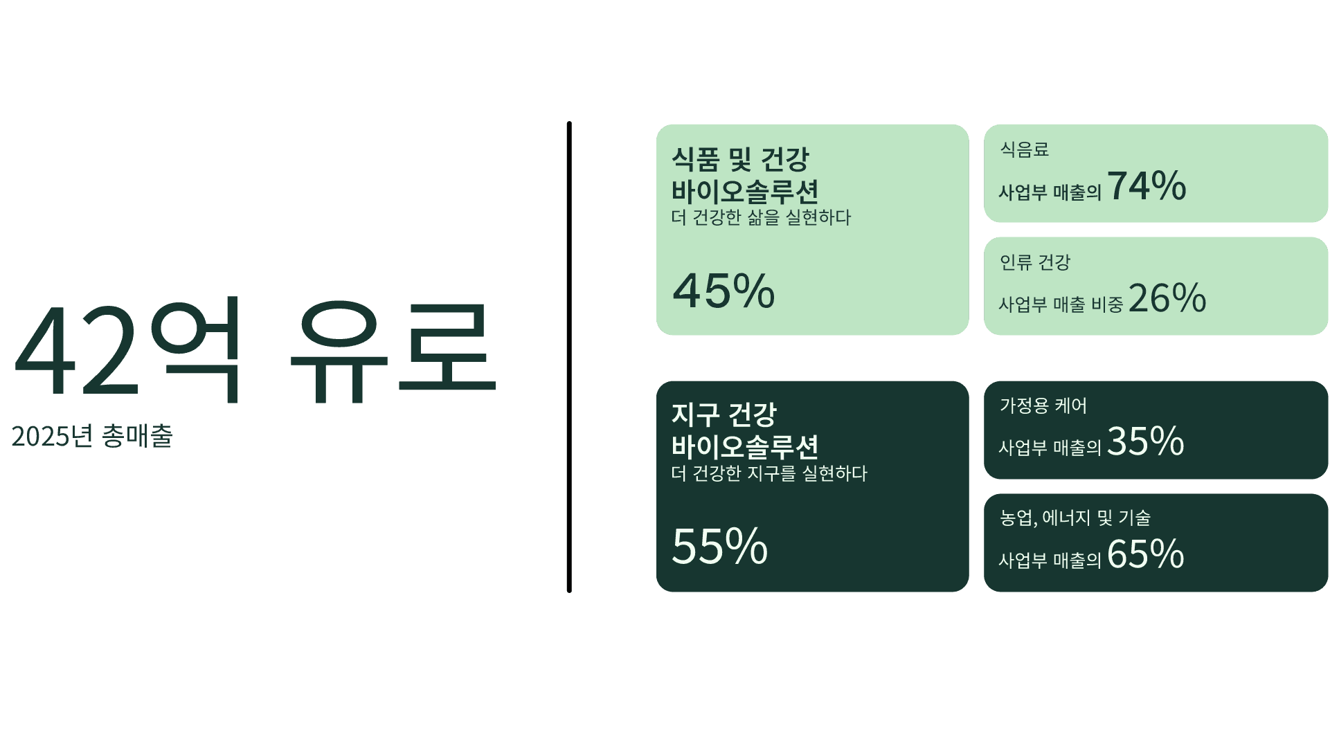 2025년 총매출 42억 유로 중 식품 및 건강 바이오솔루션은 45%, 지구 건강 바이오솔루션은 55%를 차지하며, 사업부별 매출 구성을 보여주는 인포그래픽